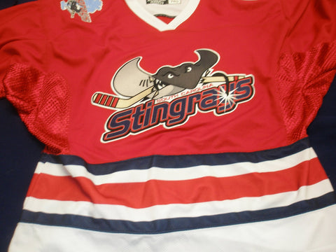 South Carolina Stingrays, North Charleston's own ECHL's Sou…